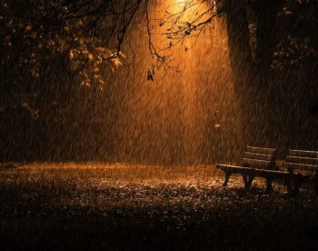 Пісні нічного дощу