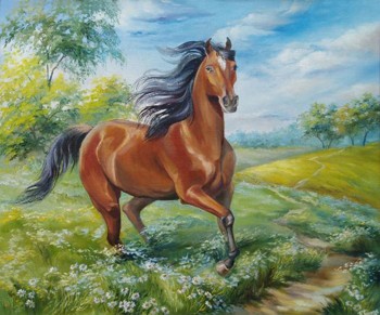 Кінь у полі
