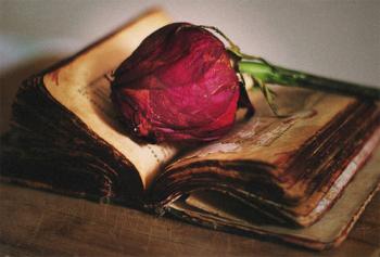 Твої листи завжди пахнуть зов’ялими трояндами
