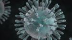 Що таке коронавірус?