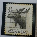 Листівка з Манітоби