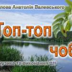 Топ-топ чобітки