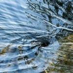 Водокрут кохання