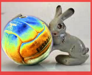 Зайці грали в волейбол...