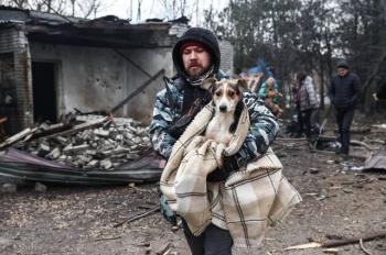 Дай лапу, друже!