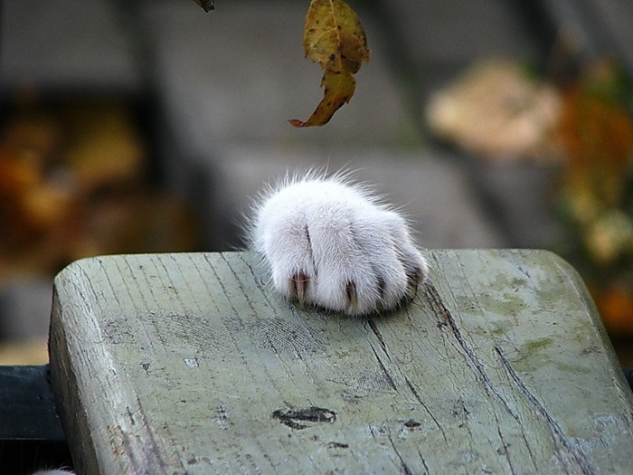 Закохана в життя