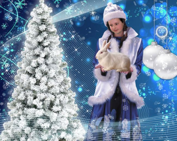 Весела Камянчанка