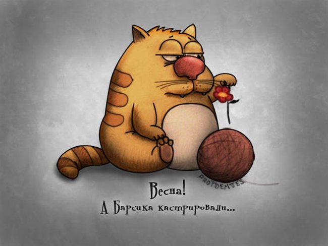 Артемка Володимирович