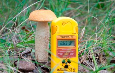 Задача про радіоактивні гриби
