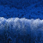 ИВАНОВ ЕВГЕНИЙ ВЛАДИМИРОВИЧ