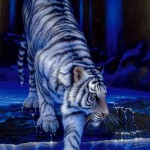 Байкальский тигр