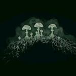 Тетяна Журавель Сергіївна