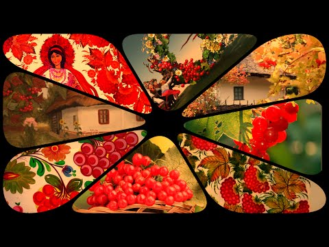 Небесна сотня. Майдан. Незалежність Небесна сотня. Майдан. Незалежність